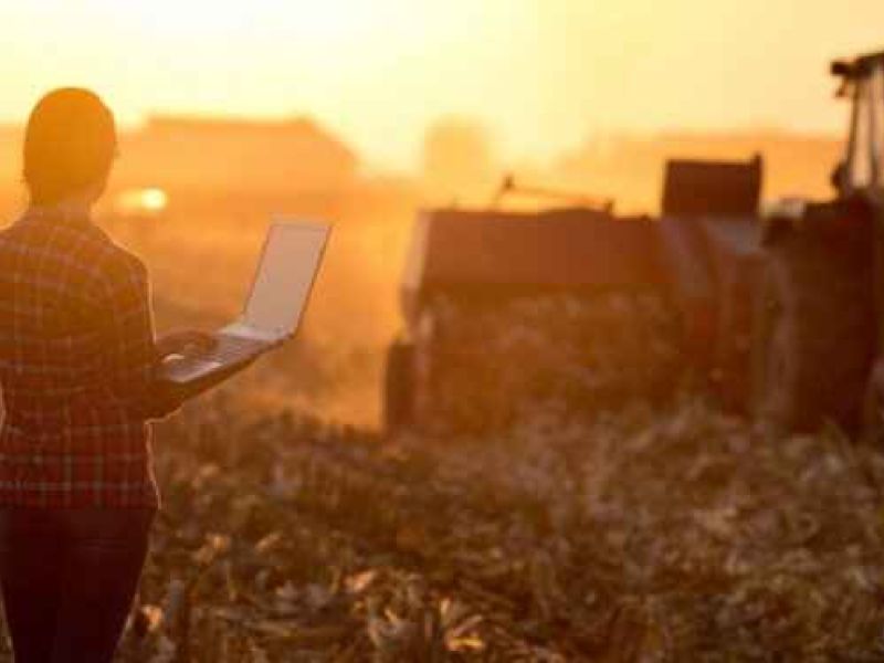 La digitalización, un “imprescindible” para la agroindustria