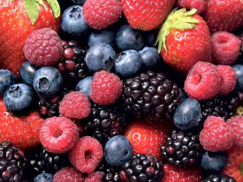 La Diputación acuerda impulsar un centro de referencia de frutos rojos en Huelva