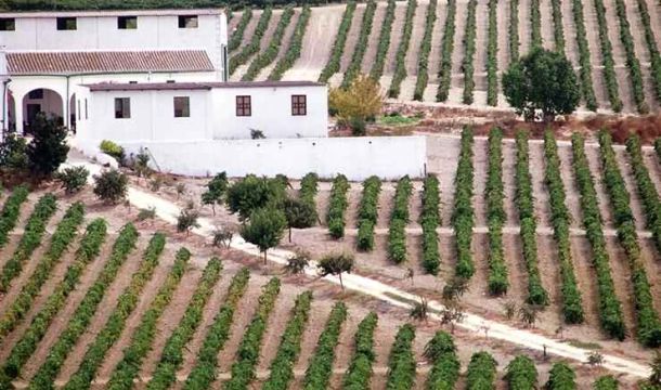 Grupo de Desarrollo Rural Campiña de Jerez y Costa Noroeste de Cádiz