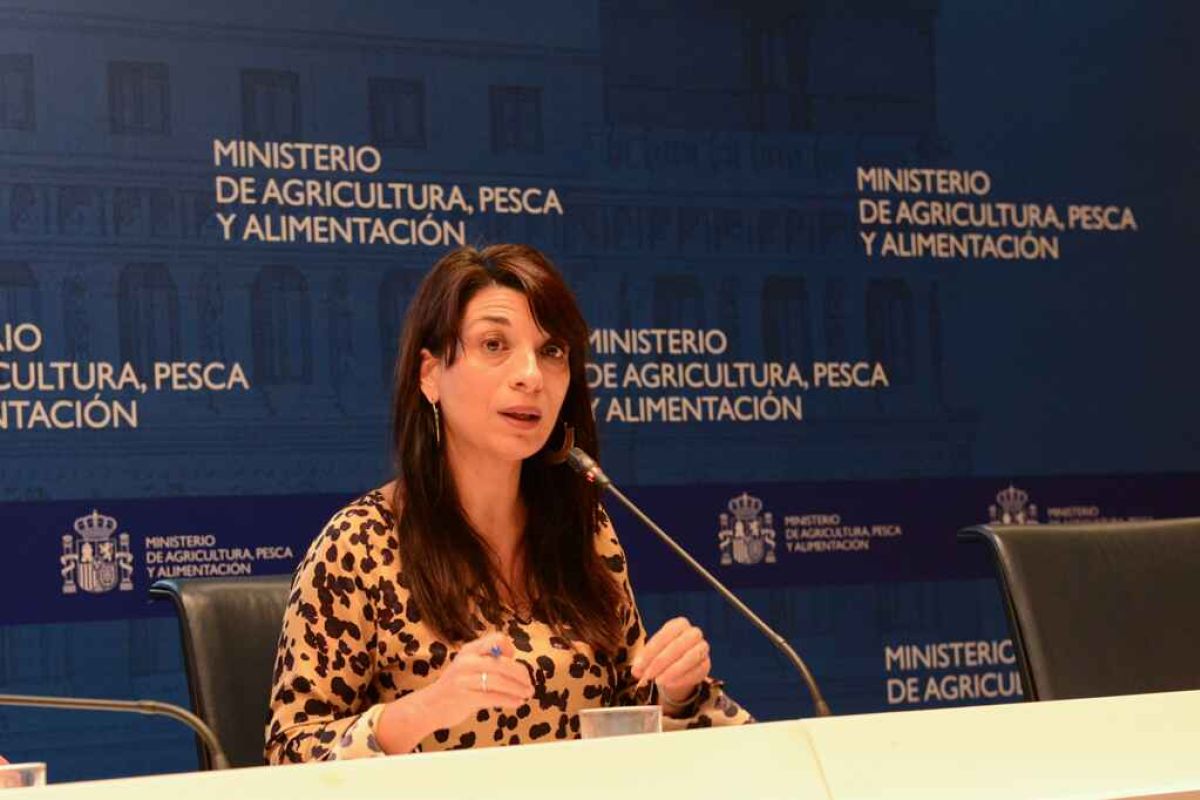 Primera reunión del grupo de trabajo de jóvenes, mujeres y despoblamiento en el marco de la elaboración del Plan Estratégico de la PAC