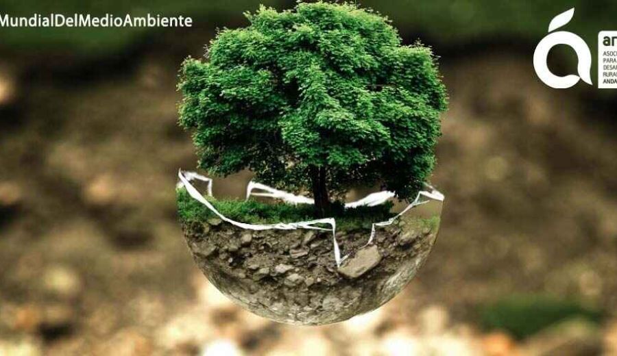 Un medio rural vivo es la mejor garantía para el medio ambiente y la sostenibilidad