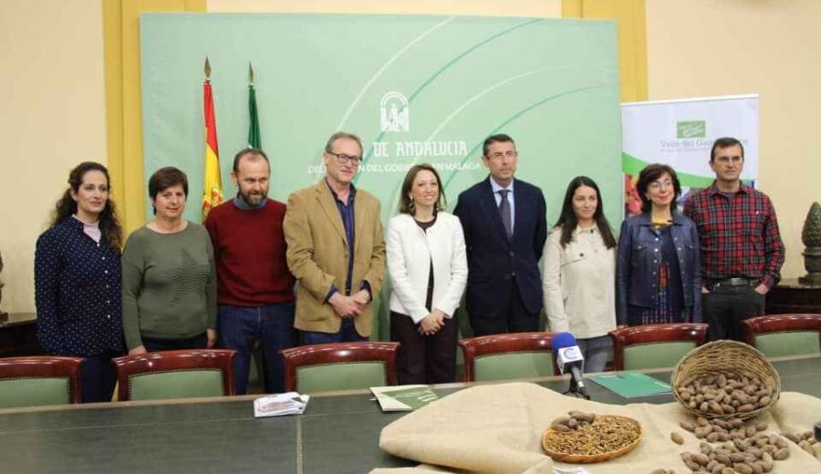 Ponen en marcha un proyecto innovador para potenciar el desarrollo económico y agrario de la nuez pacana