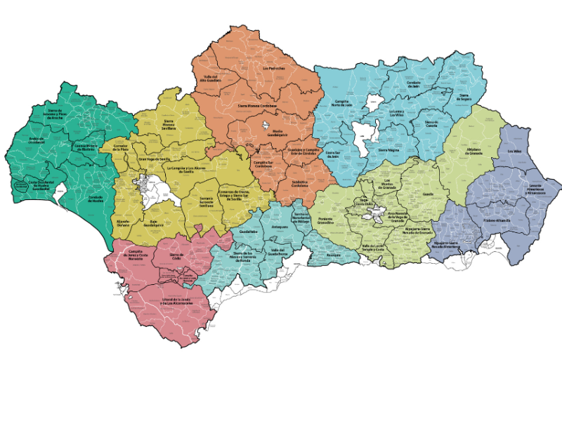Andalucía publica la nueva convocatoria de ayudas LEADER 2023-2027 dotada con 97, 5M€ hasta 2028