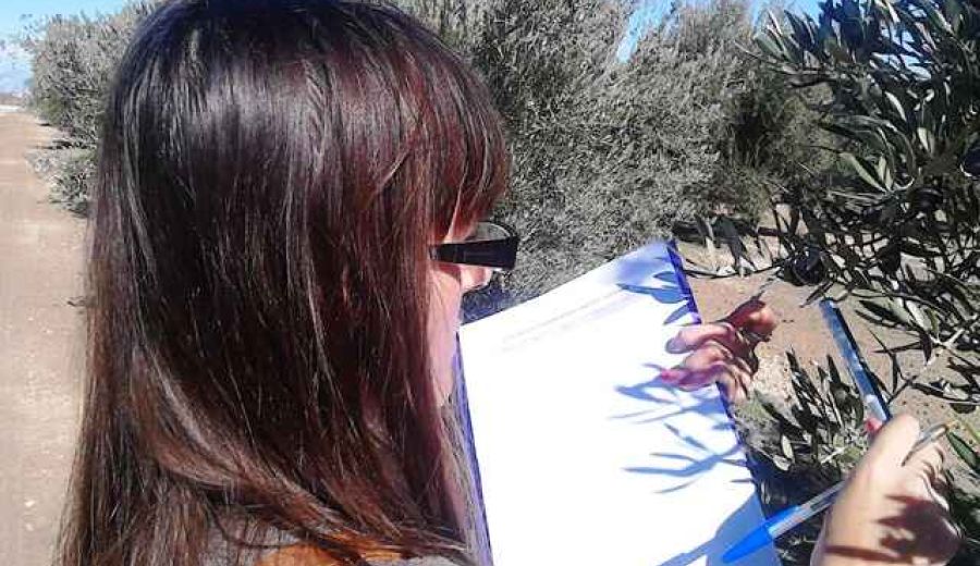 Agricultura presenta unos PGE que apuestan por las mujeres, los jóvenes y la digitalización