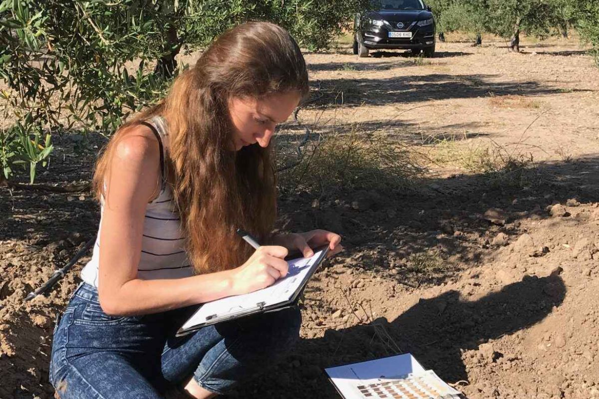 La revista Mercacei se hace eco de las conclusiones del proyecto H2Olivetree del GDR Serranía Suroeste Sevillana