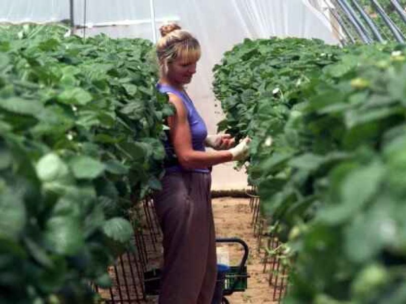 El empoderamiento de la mujer rural, un elemento clave para el futuro de la Humanidad