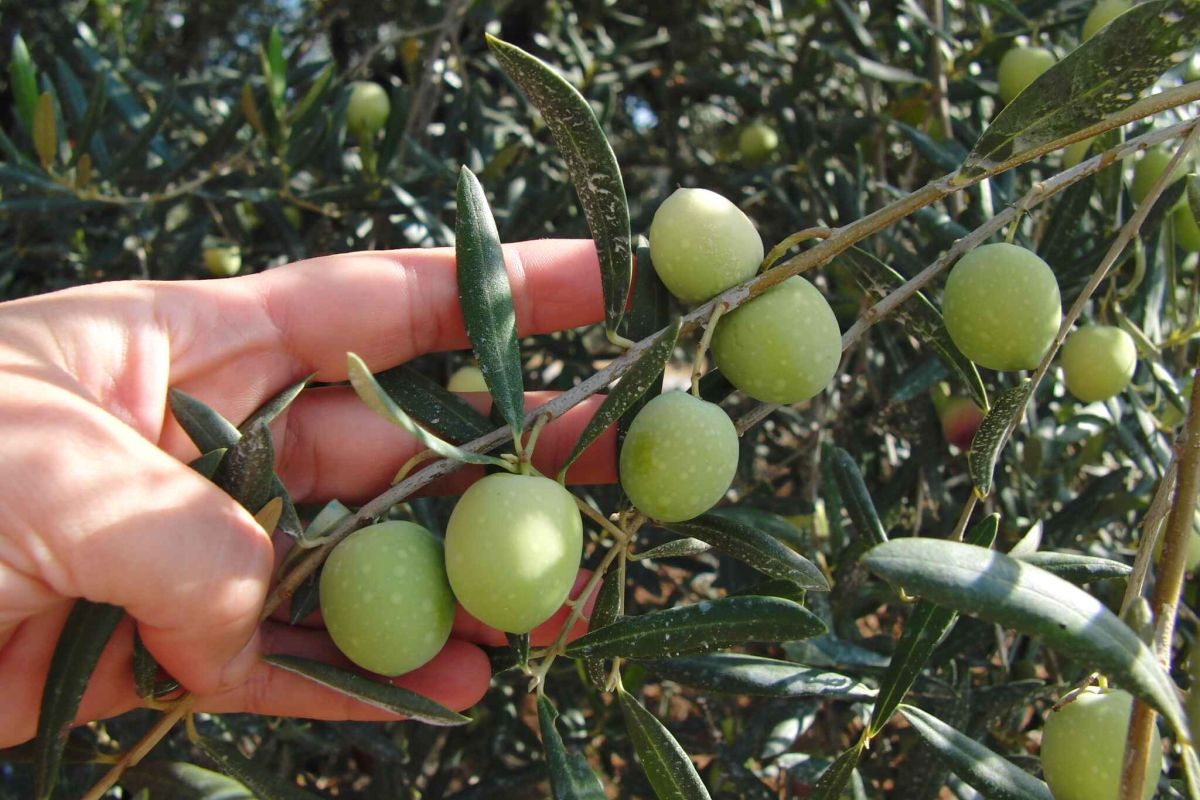 Los Ayuntamientos del Valle del Guadalhorce se forman en igualdad de género dentro el III Plan Equilibra