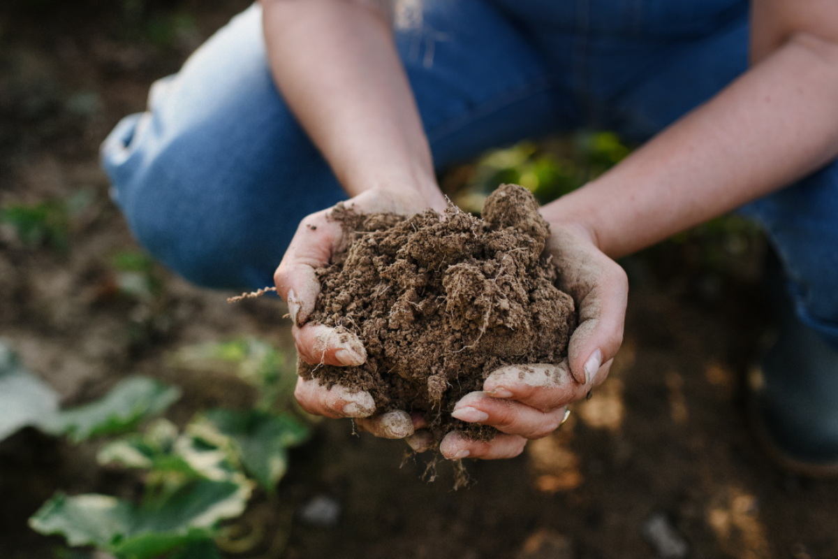 Andalucía, primera comunidad en contar con una ley de impulso y promoción de la producción ecológica