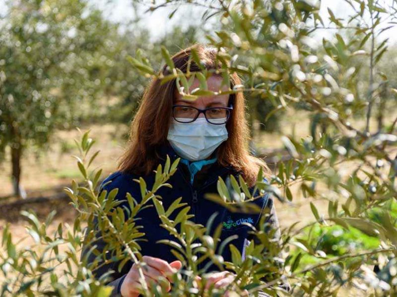 La Junta convoca ayudas para la creación de empresas de jóvenes agricultores con una línea específica para mujeres