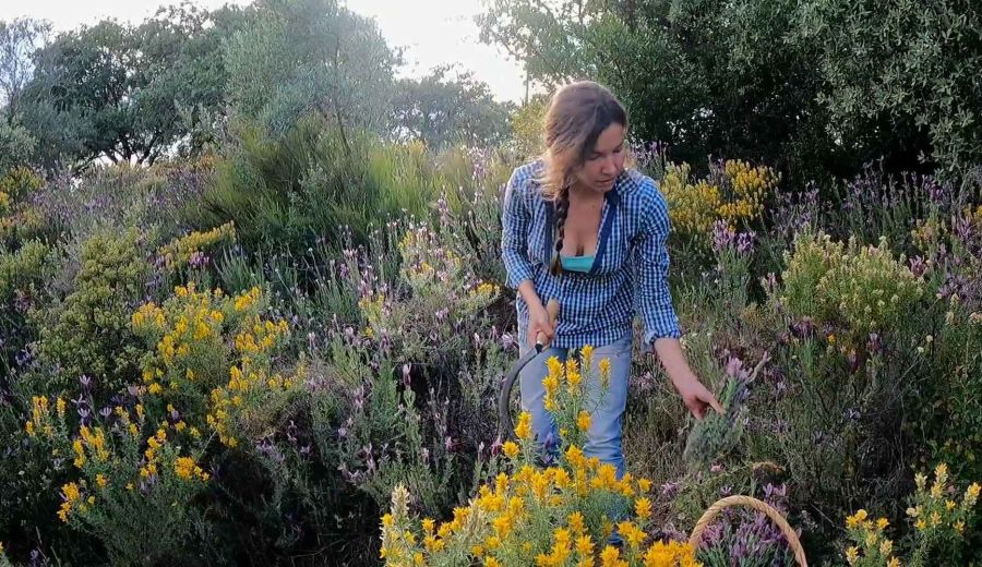 El mejor bálsamo para emprender está en la Sierra de Aracena y Picos de Aroche