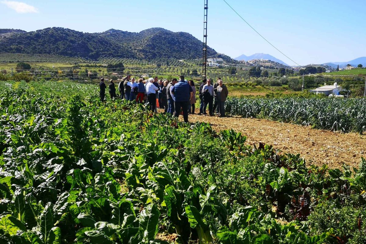 La Academia Gastronómica de Málaga  organiza el Encuentro gastronómico “Huerta del Guadalhorce”