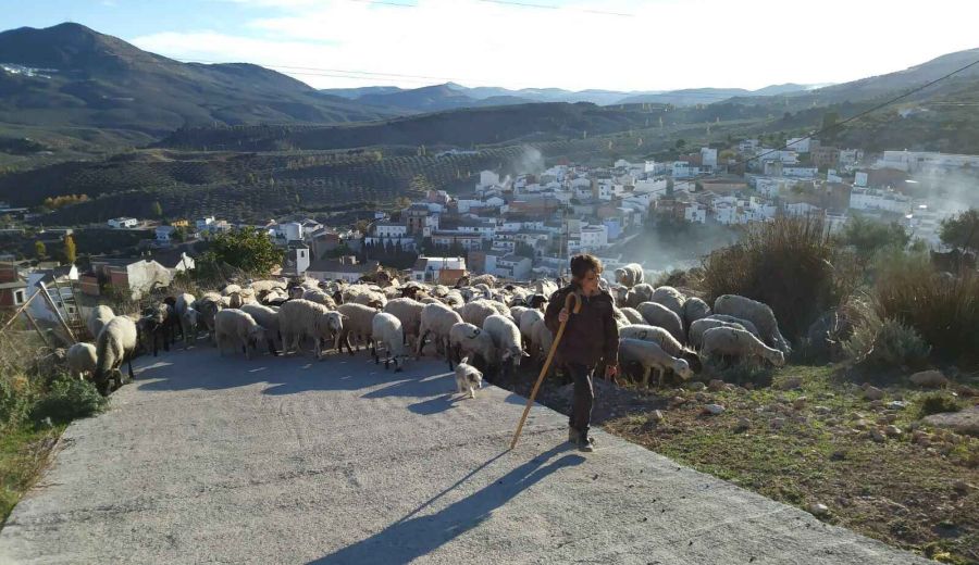 El Ministerio de Agricultura, Pesca y Alimentación destina 400.000 euros a subvenciones para entidades de mujeres rurales de ámbito nacional