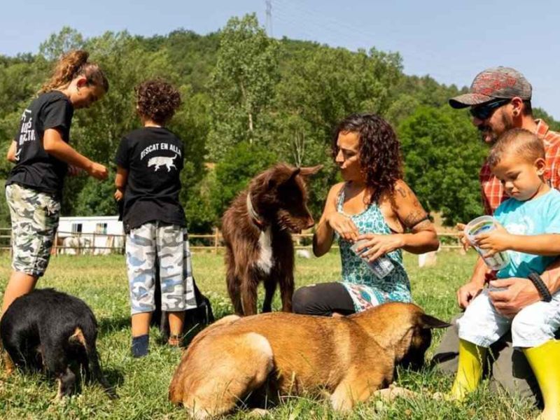 ¡Nos vamos de la ciudad! 6 apuestas por la vida rural