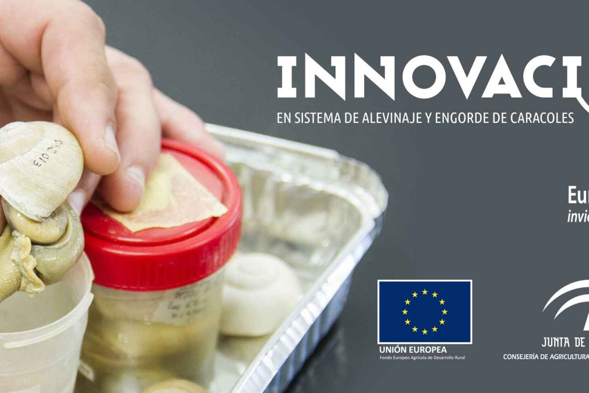 Cooperativas Agroalimentarias de Andalucía organiza  en Lora del Río (Sevilla) la jornada “La Helicicultura y el proyecto Heligemas”
