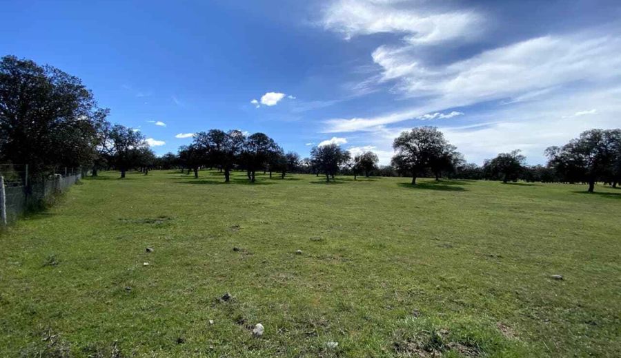 Agricultura aprueba nuevas ayudas para proyectos LEADER en Sierra Morena Cordobesa y Los Pedroches