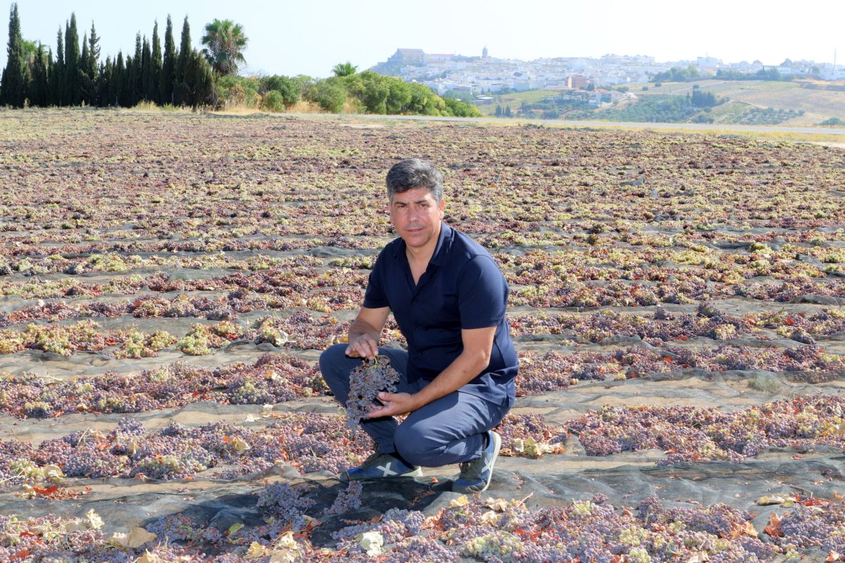 Rafael Llamas: “ARA, 30 años de desarrollo rural en Andalucía”