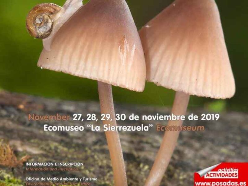 El GDR Medio Guadalquivir colabora en las jornadas “Sierra de Posadas”, referente del micoturismo en la provincia