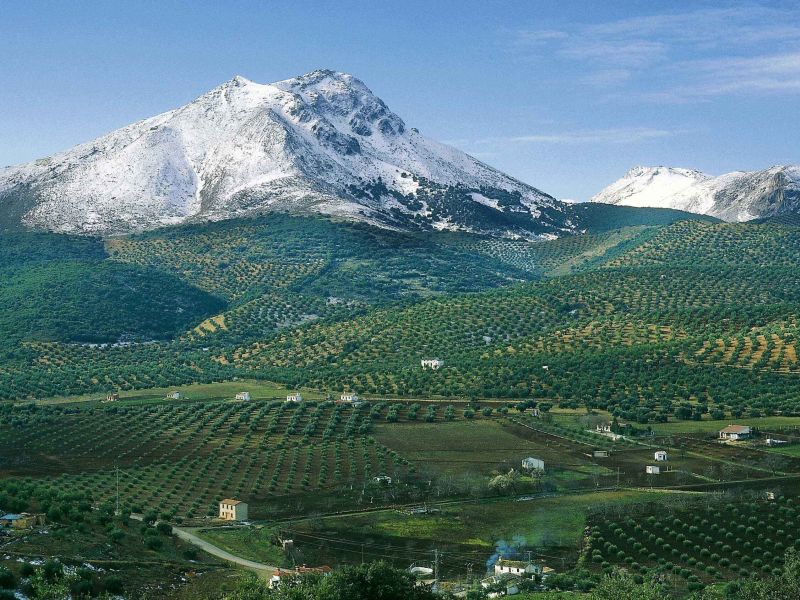 El GDR Subbética Cordobesa subvenciona el proyecto de mejora de los jardines de la Huerta del Carmen