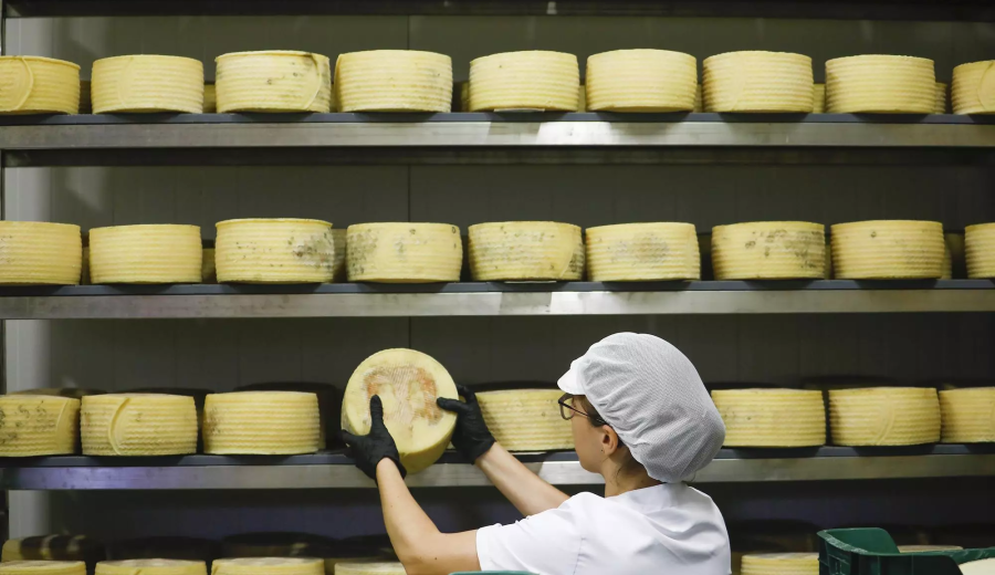 El GDR Los Pedroches participa en un Grupo Operativo para certificar la singularidad del queso de la dehesa cordobesa