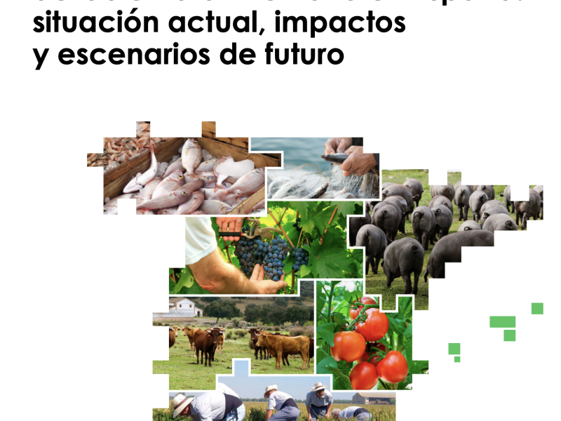 Hacia la transformación del sistema alimentario en España: situación actual, impactos y escenarios de futuro