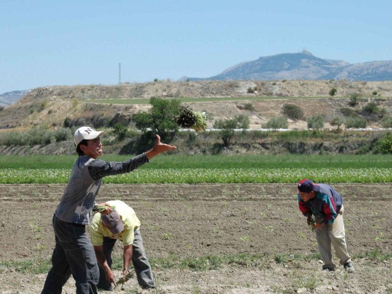 Correos Market se abre aún más al mundo rural al incluir productos frescos y acercar el campo a la mesa