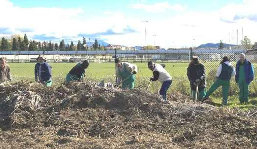 Capacitación agroecológica para asentar empleo rural