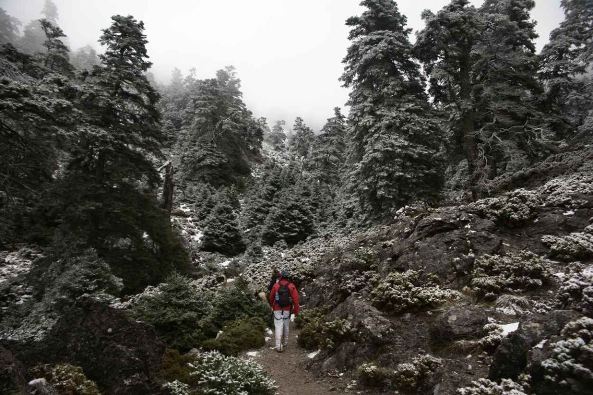 El Gobierno aprueba el proyecto de Ley para la declaración del Parque Nacional de la Sierra de las Nieves