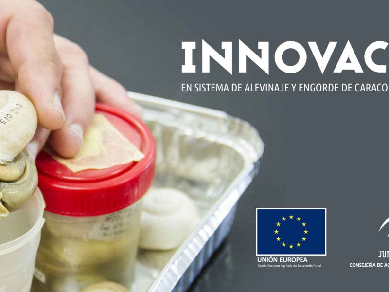 Cooperativas Agroalimentarias de Andalucía organiza  en Lora del Río (Sevilla) la jornada “La Helicicultura y el proyecto Heligemas”