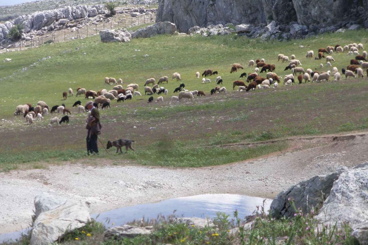 Despoblamiento y crisis climática, una combinación letal para las zonas rurales