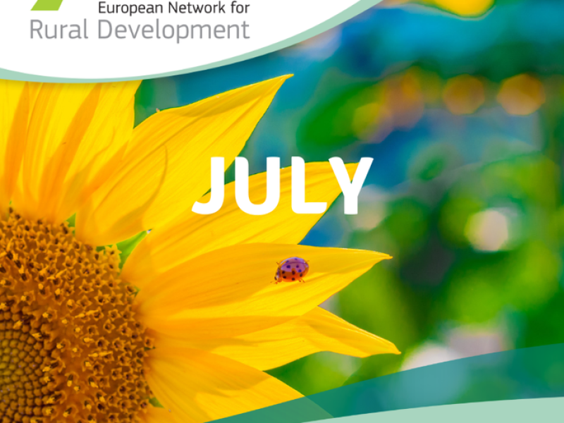La Red Europea de Desarrollo Rural publica su boletín de julio con toda la actualidad europea sobre desarrollo rural
