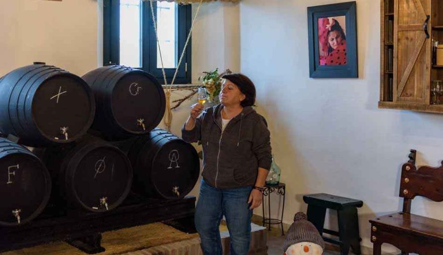 Campiña de Jerez y Costa Noroeste de Cádiz apoya nuevas iniciativas en torno al turismo enológico y experiencial
