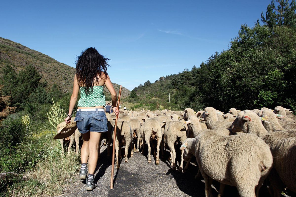 Acceso a la tierra, financiación y formación, pilares del relevo generacional en el medio rural