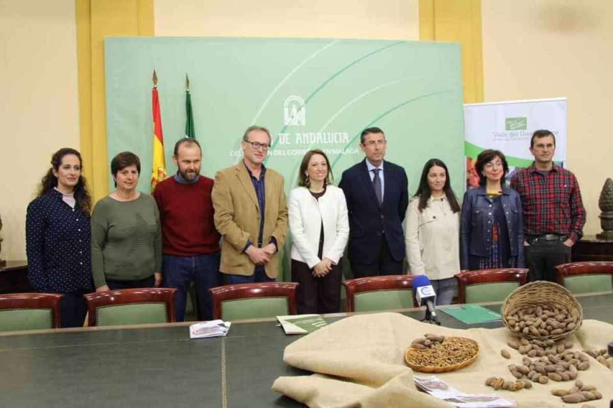 Ponen en marcha un proyecto innovador para potenciar el desarrollo económico y agrario de la nuez pacana
