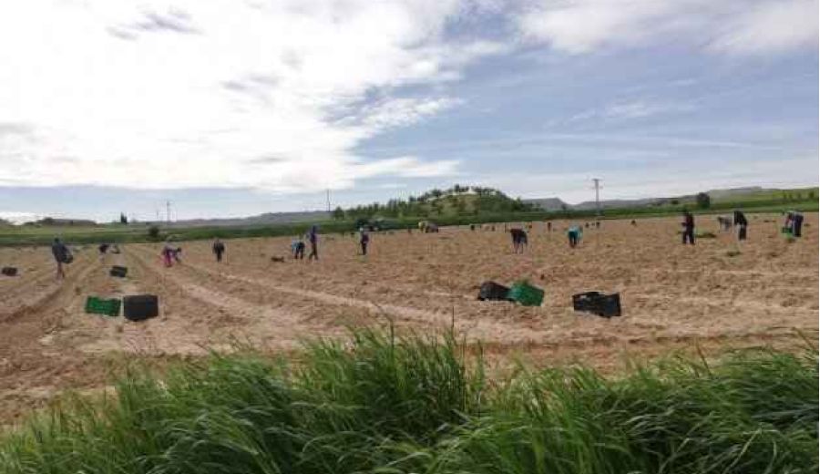 Llenando (temporalmente) pueblos vaciados