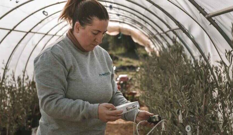 Blog Valor Rural de ARA: abierta la convocatoria de ayudas LEADER en Andalucía