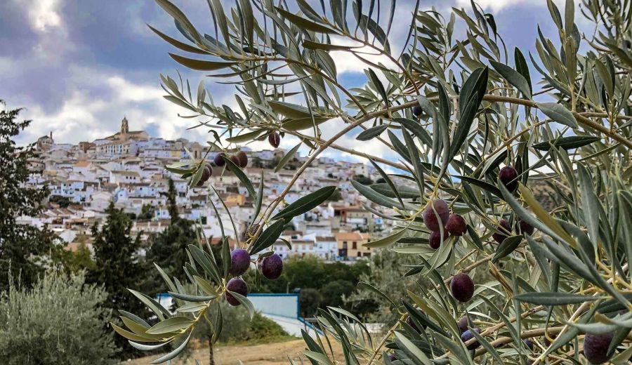 Las empresas agroalimentarias andaluzas se dan cita en el Salón Gourmets