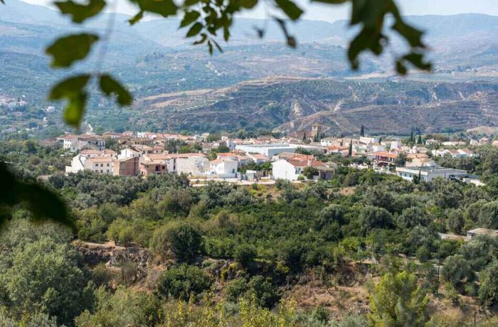 Francesc Boya: “Hay que construir una nueva visión del entorno rural como una oportunidad para vivir de una forma distinta”