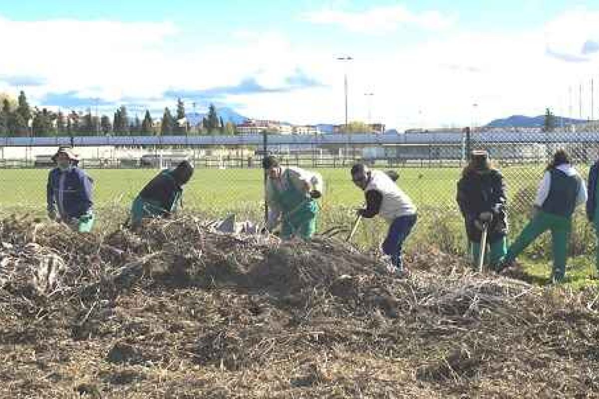Capacitación agroecológica para asentar empleo rural