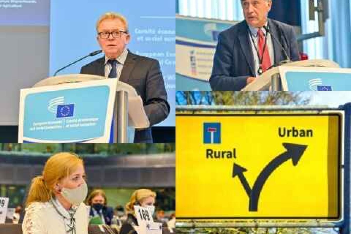 Aprobada la estrategia integral para el desarrollo urbano y rural equilibrado del Comité Económico y Social Europeo