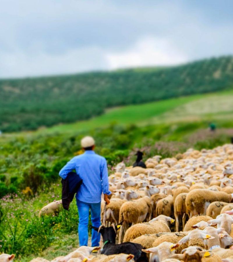 Boletín Andalucía Rural. 9 de enero, 2026