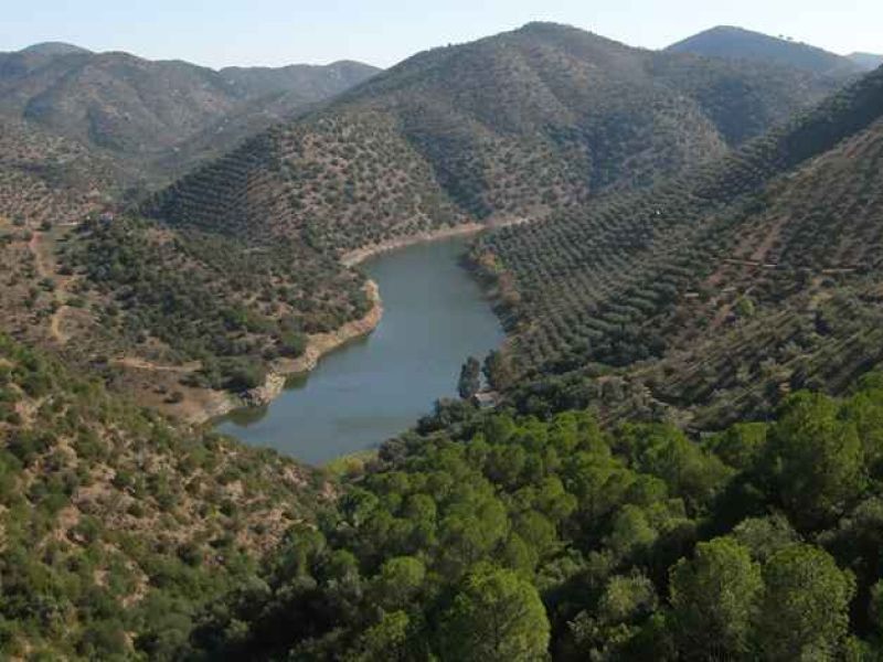 Un proyecto de la Universidad de Córdoba recuperará la tradición culinaria del pasado histórico de la sierra Morena de Córdoba