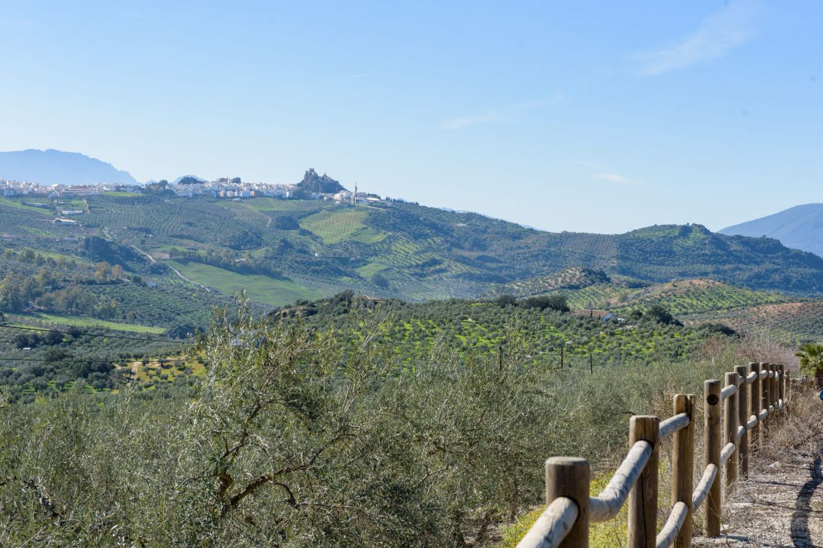 La participación de las comunidades locales es fundamental para tener áreas rurales resilientes