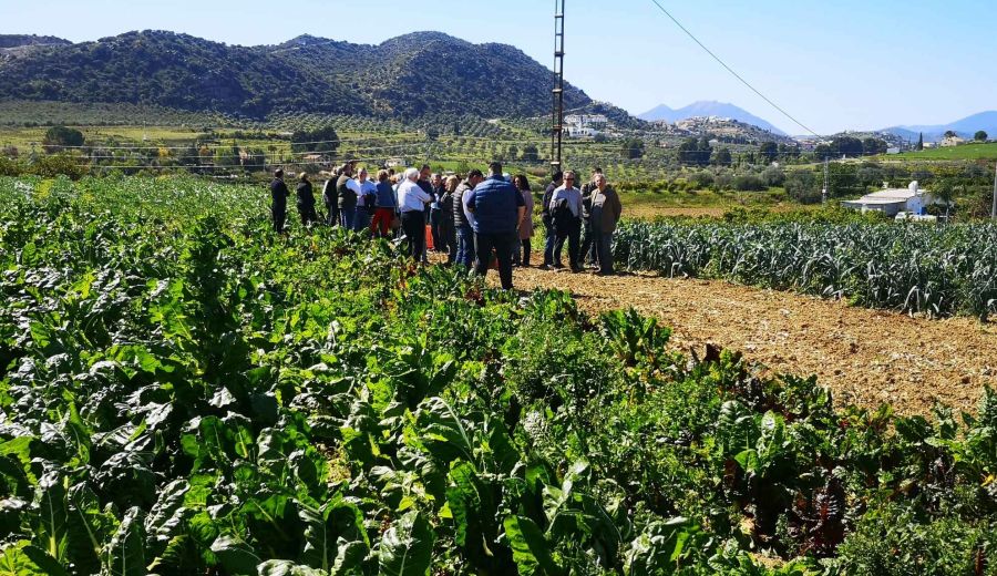La Academia Gastronómica de Málaga  organiza el Encuentro gastronómico “Huerta del Guadalhorce”