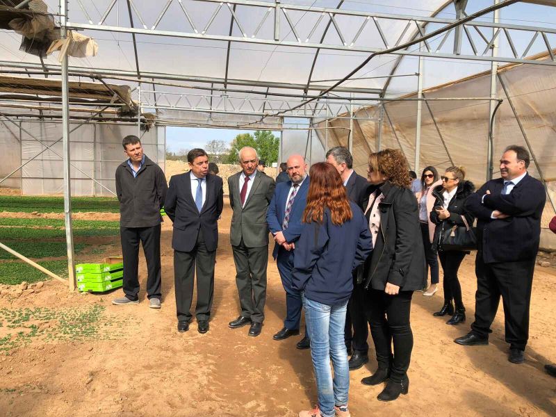 Luis Planas anima a las cooperativas a ganar dimensión y apostar por la transformación para generar mayor riqueza en el mundo rural