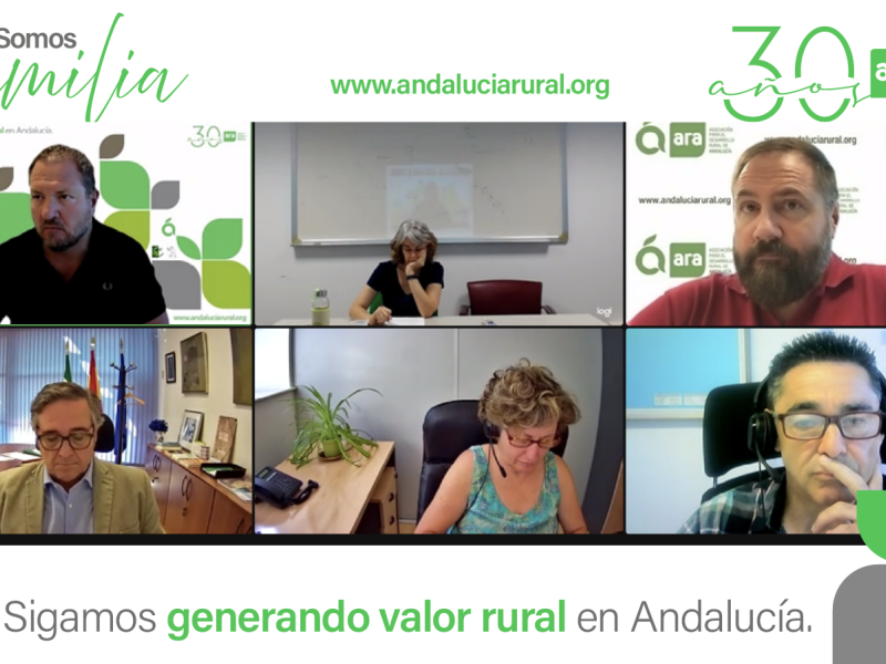 Plantilla para zoom fcfb47ee