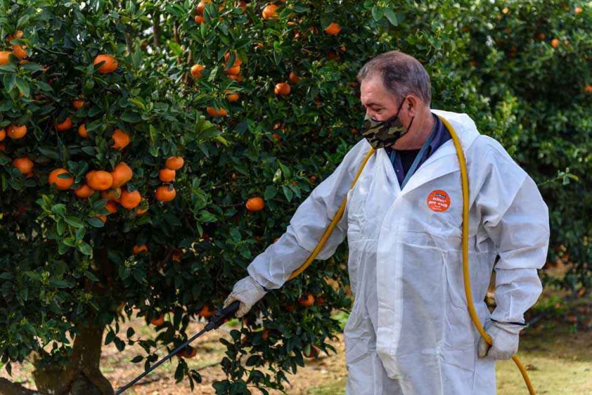 El Gobierno aprueba las últimas normas necesarias para aplicar la PAC 2023-2027