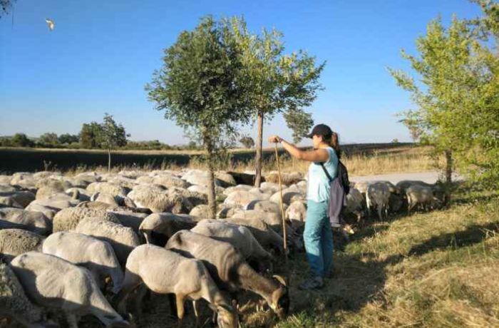 La Escuela de Pastores y Pastoras de Andalucía clausura su XIII edición en Cortegana