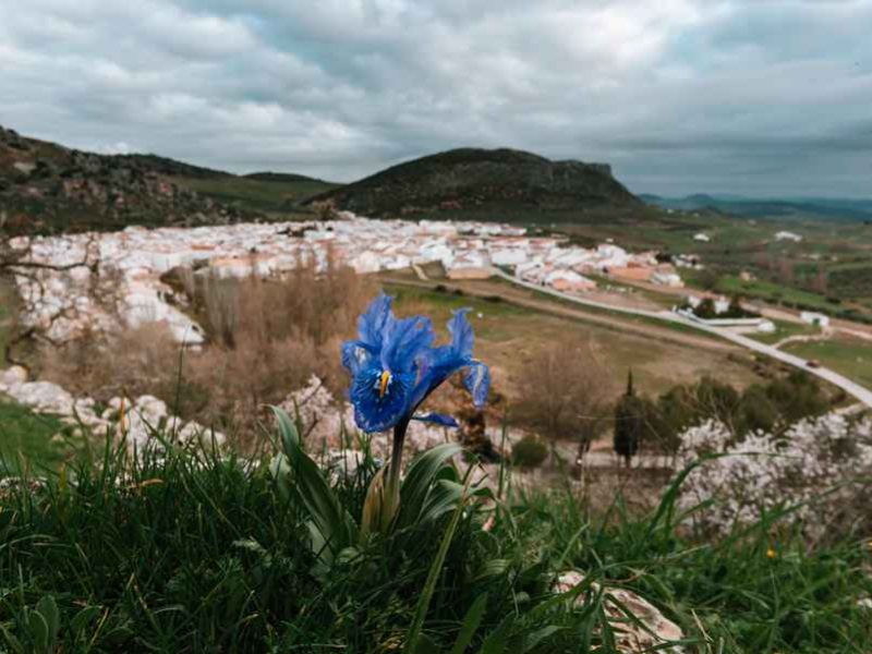 “La tierra que alimenta”, un proyecto de soberanía alimentaria para comer mañana