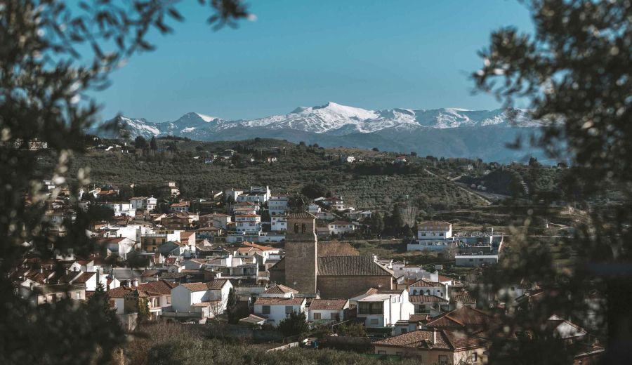65 propuestas del Foro de Acción Rural para los Objetivos de Desarrollo Sostenible: «Que la pandemia no sea la excusa para frenarnos»