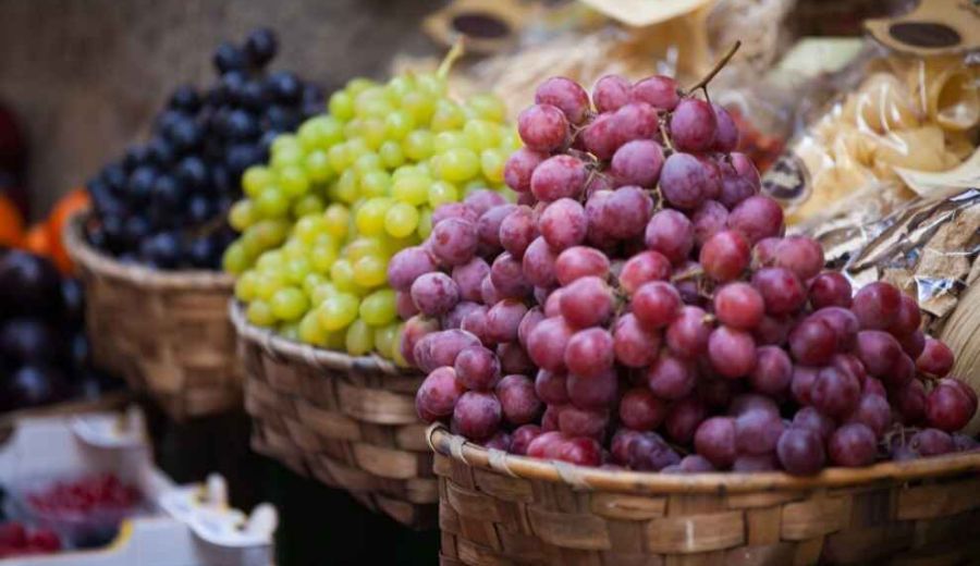 El 10 % de la superficie agraria en España ya es ecológica y supera los 2,4 millones de hectáreas en 2020